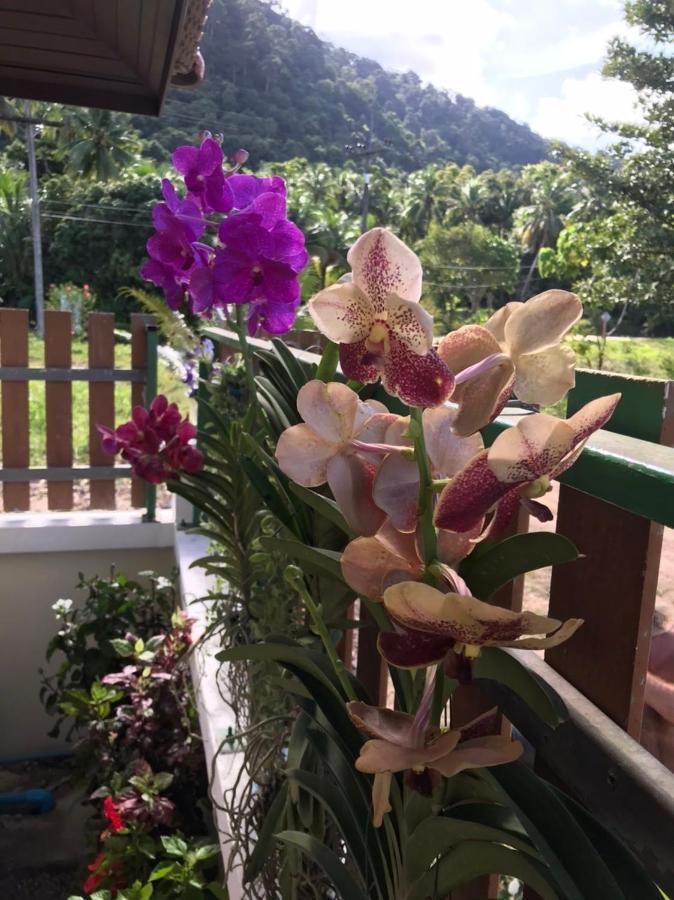 Orchid Pool -Villa 4 Bedrooms Ko Lanta المظهر الخارجي الصورة